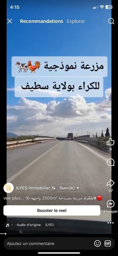 Location Terrain Agricole Sétif Setif