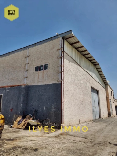 Location Hangar - Usine Sétif Setif