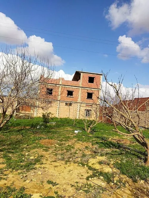 Vente Terrain Agricole Mostaganem Ain tadles