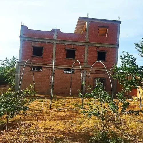 Vente Terrain Agricole Mostaganem Ain tadles