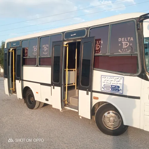 Bus Dalta 2011