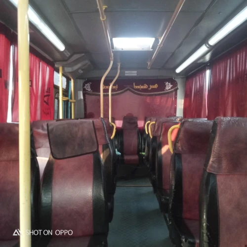 Bus Dalta 2011