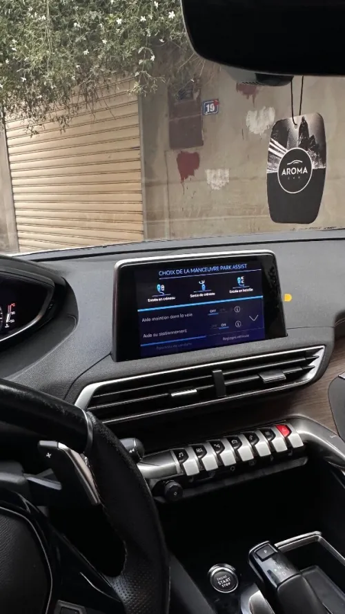 Option Park Assist Peugeot 3008