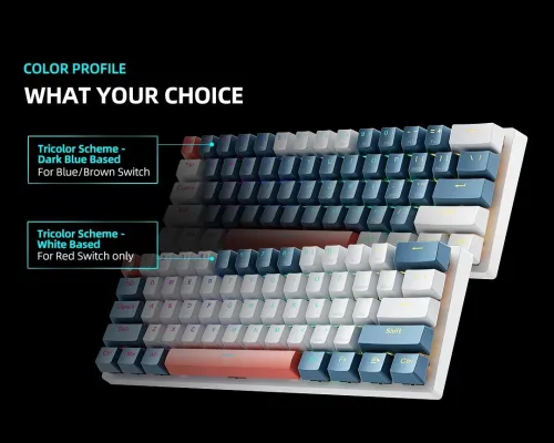 Clavier Machenike K500-B61 MINI 60% US Red Switch