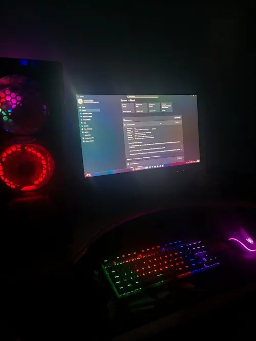 Pc gamer 