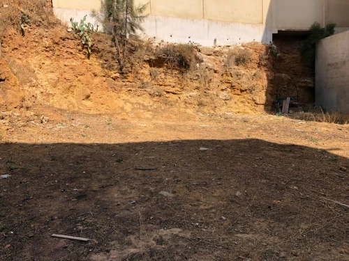 Vente Terrain Alger Douera