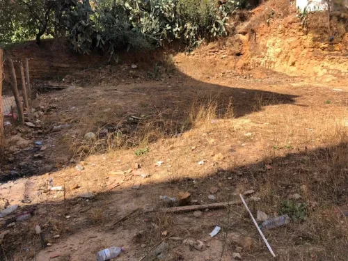 Vente Terrain Alger Douera