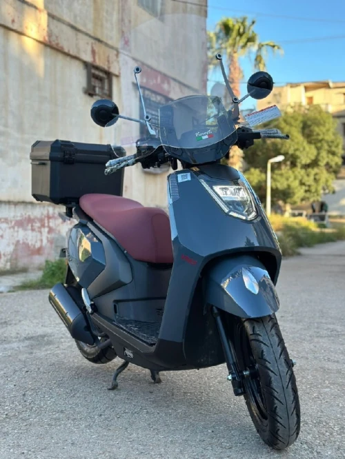 Vms Gemma 2025