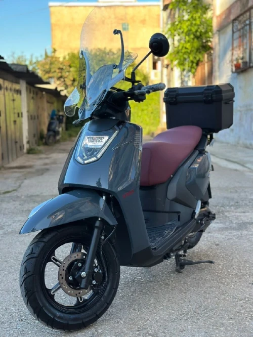 Vms Gemma 2025