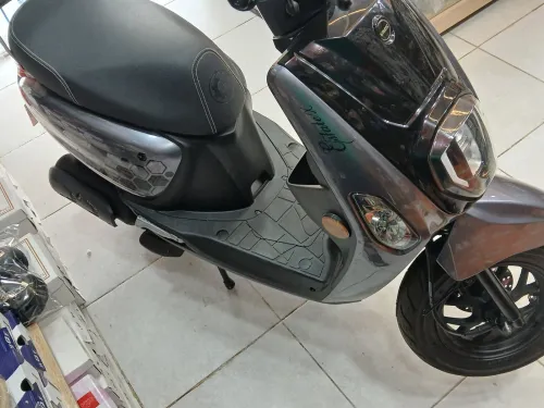 Estate X VMS 2025