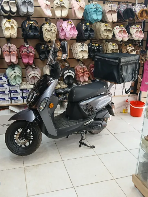 Estate X VMS 2025