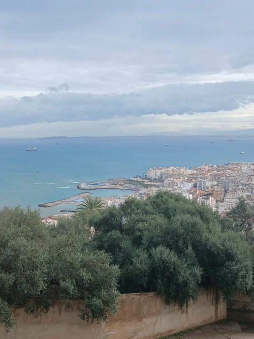 Vente Appartement F4 Alger Bab el oued
