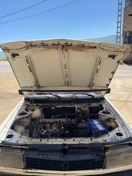 Peugeot 305 1989 305