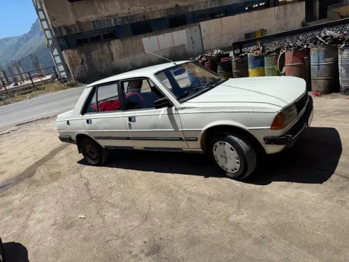 Peugeot 305 1989 305