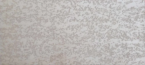 صباغة الواجهات الخارجية Facade monocouche