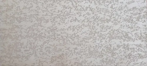 Facade monocouche تهيئة و طلاء الواجهات الخارجية 