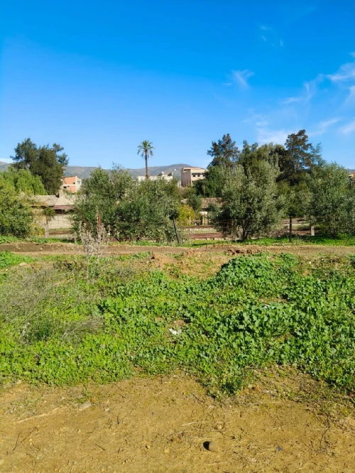 Vente Terrain Bouira Lakhdaria