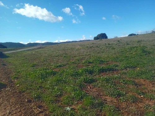 Vente Terrain Bouira Ahl el ksar