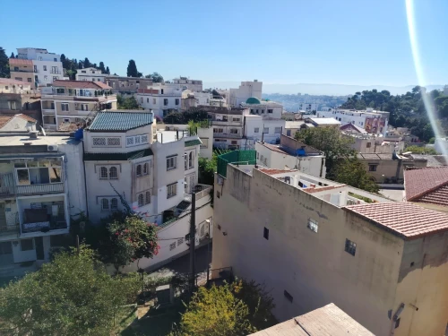 Vente Terrain Alger El biar