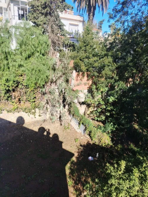 Vente Terrain Alger El biar
