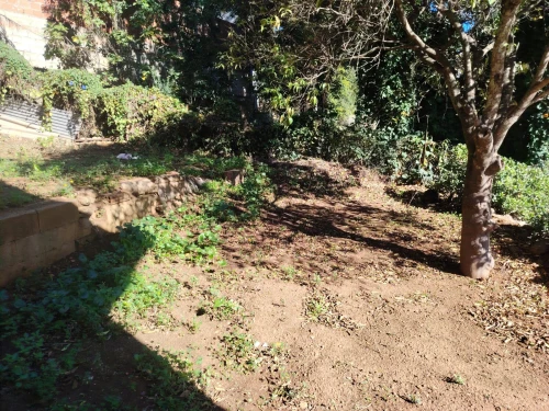 Vente Terrain Alger El biar