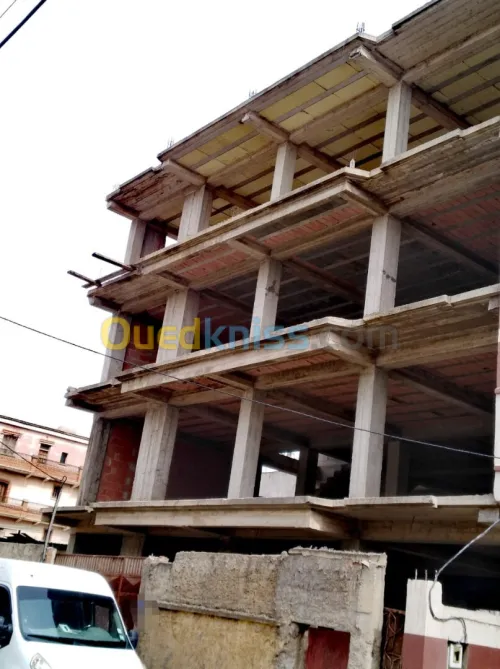 Vente Immeuble Alger Baraki