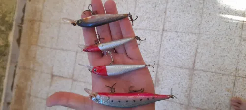 leurres de pêche spinning 