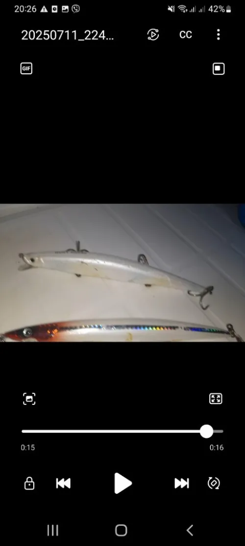 leurres de pêche spinning 