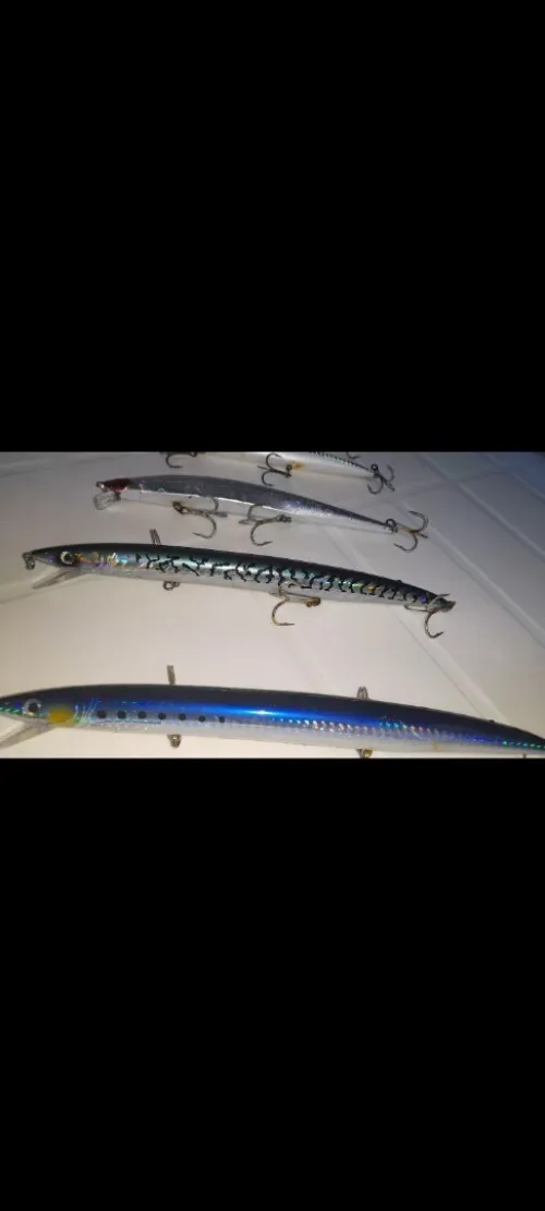 leurres de pêche spinning 