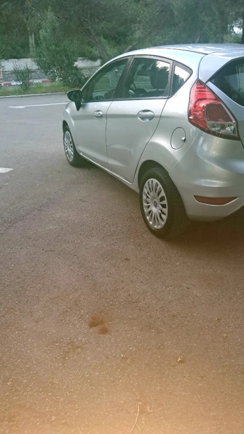 Ford Fiesta 2014 Trend Look