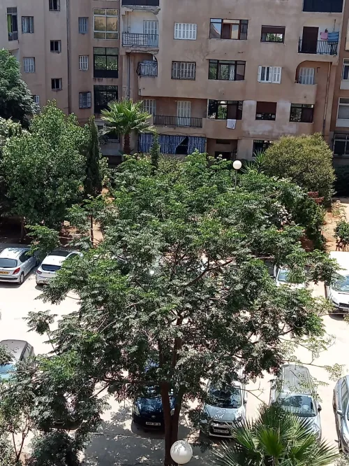 Location vacances Appartement Alger Ain taya