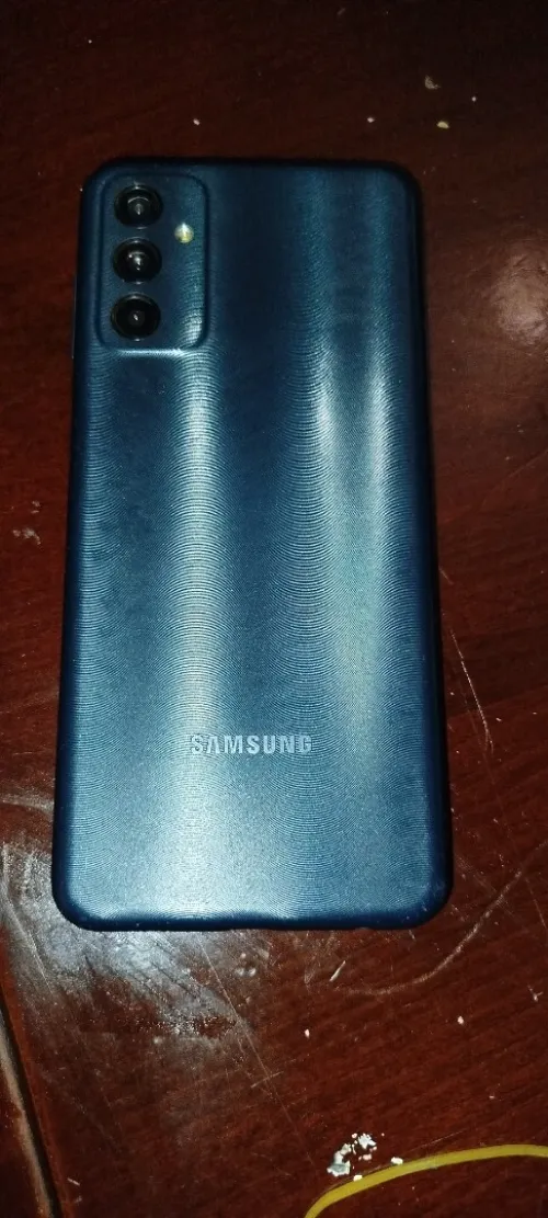 Samsung F13