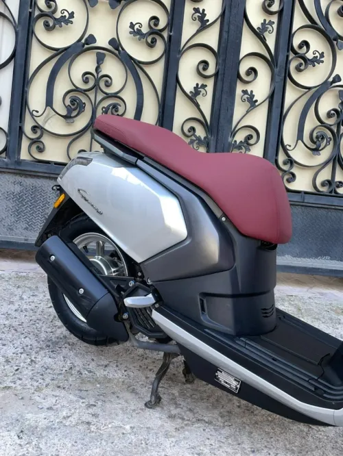 Vms Gemma 2025