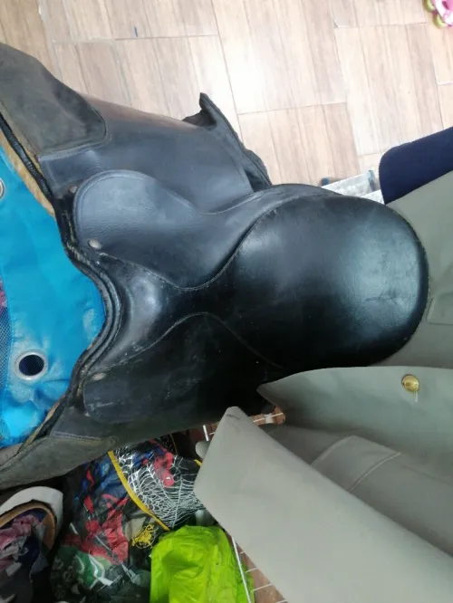 Selle de cheval (سرج)