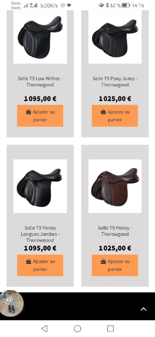 Selle de cheval (سرج)