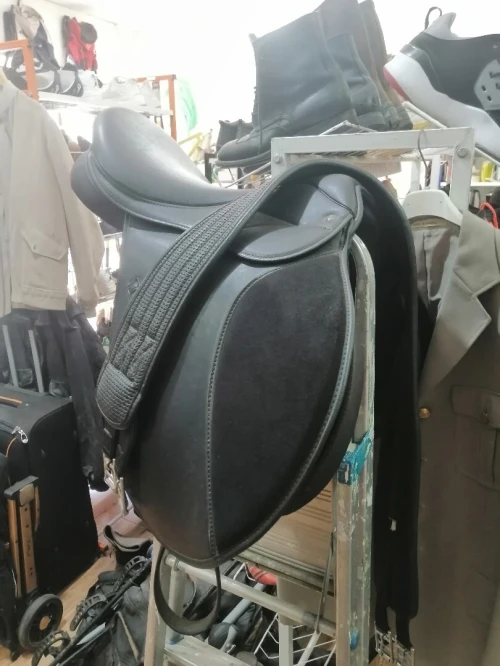 Selle de cheval (سرج)