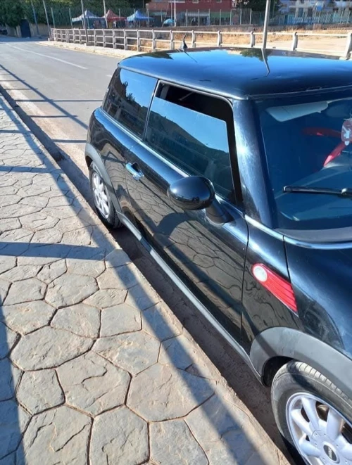 Mini D 2012 
