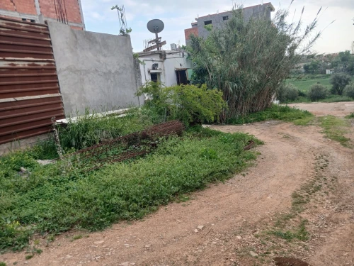 Vente Terrain Boumerdès Ouled moussa