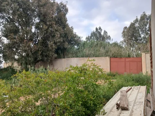 Vente Terrain Boumerdès Ouled moussa