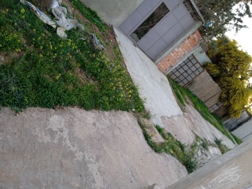 Vente Terrain Oran Bethioua