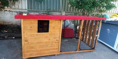 niche et cage pour chien منزل كلاب 