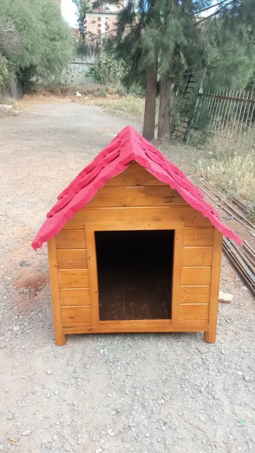 niche et cage pour chien منزل كلاب 