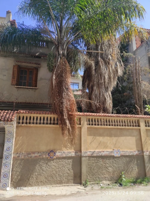 Vente Villa Alger Bordj el kiffan