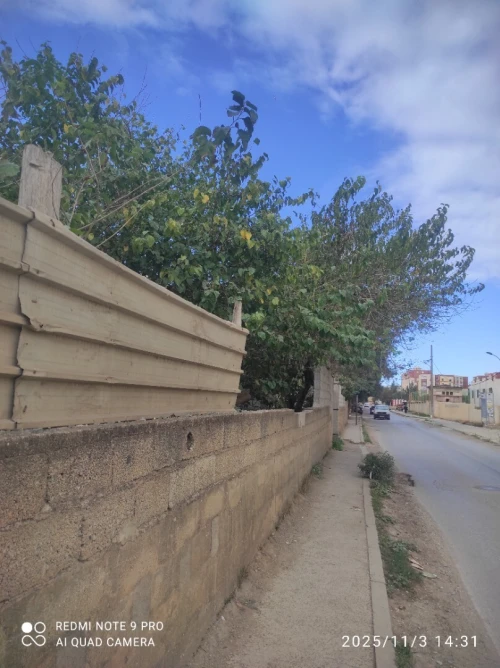 Vente Terrain Alger Bordj el kiffan