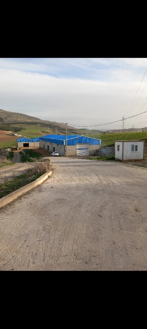 Location Hangar - Usine Constantine Ain smara