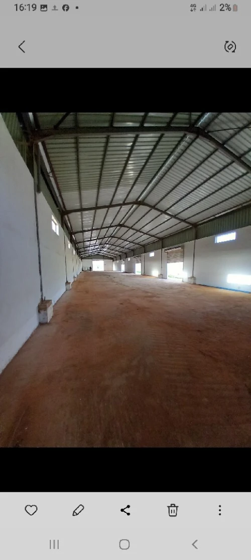 Location Hangar - Usine Constantine Ain smara