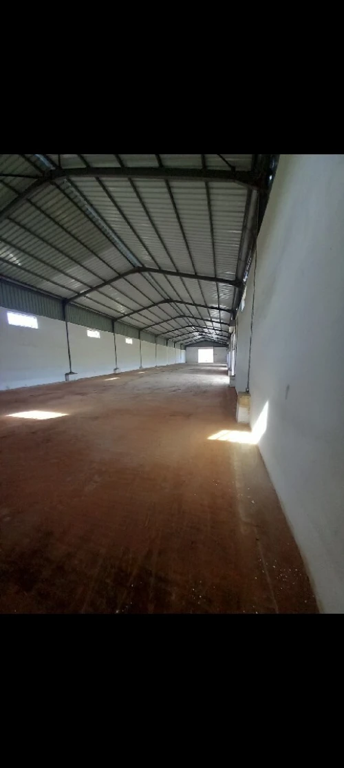 Location Hangar - Usine Constantine Ain smara