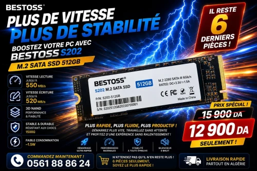 PROMO EXCEPTIONNELLE  SSD M.2 512GB BESTOSS S202
