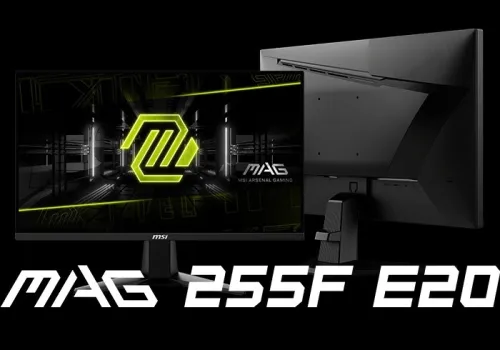 ECRAN MSI MAG 255F E20