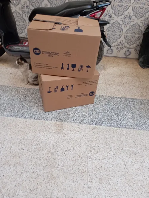 Carton grand model 